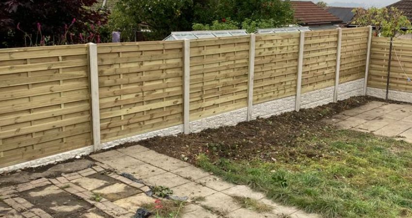 WhatsApp Image 2022-11-04 at 7.53.24 AM (1)