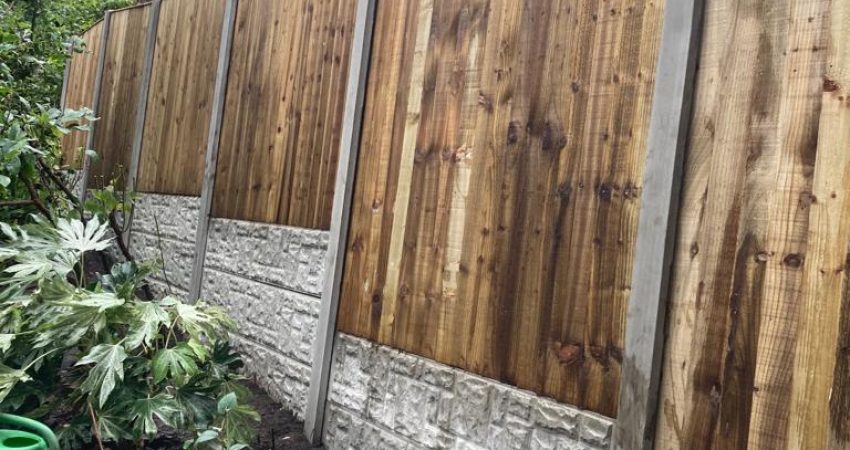 WhatsApp Image 2022-11-04 at 7.54.04 AM (2)